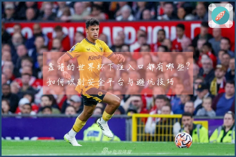 靠谱的世界杯下注入口都有哪些？如何识别安全平台与避坑技巧