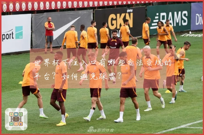 世界杯下注入口有哪些合法合规的平台？如何避免踩雷？