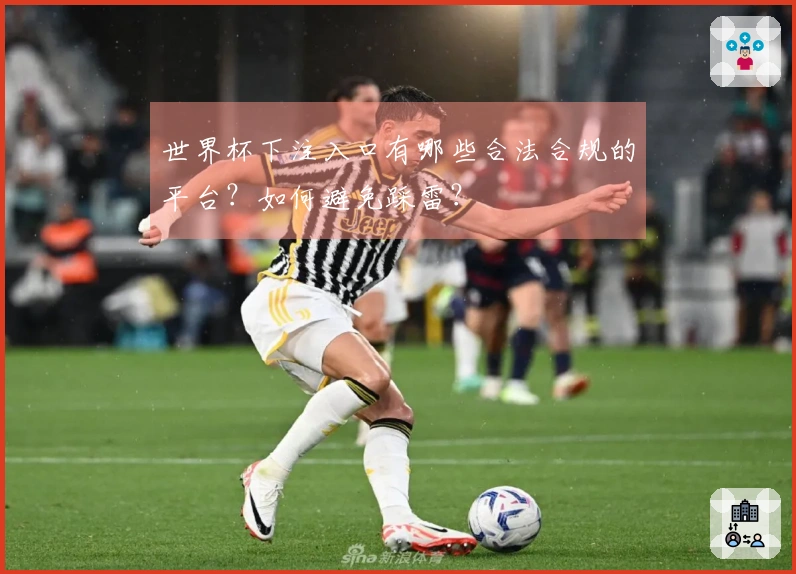 世界杯下注入口有哪些合法合规的平台？如何避免踩雷？