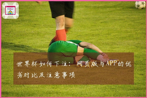 世界杯如何下注：网页版与APP的优劣对比及注意事项