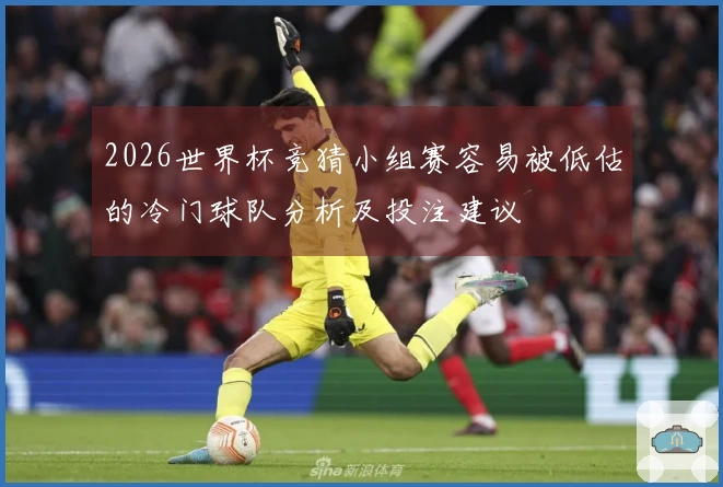 2026世界杯竞猜小组赛容易被低估的冷门球队分析及投注建议