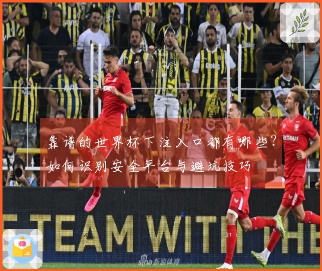 靠谱的世界杯下注入口都有哪些？如何识别安全平台与避坑技巧